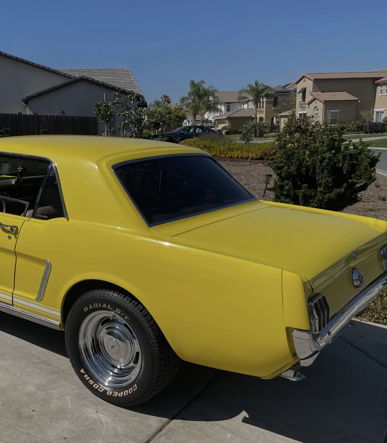 Classic yellow Mustang — glossy rear finish