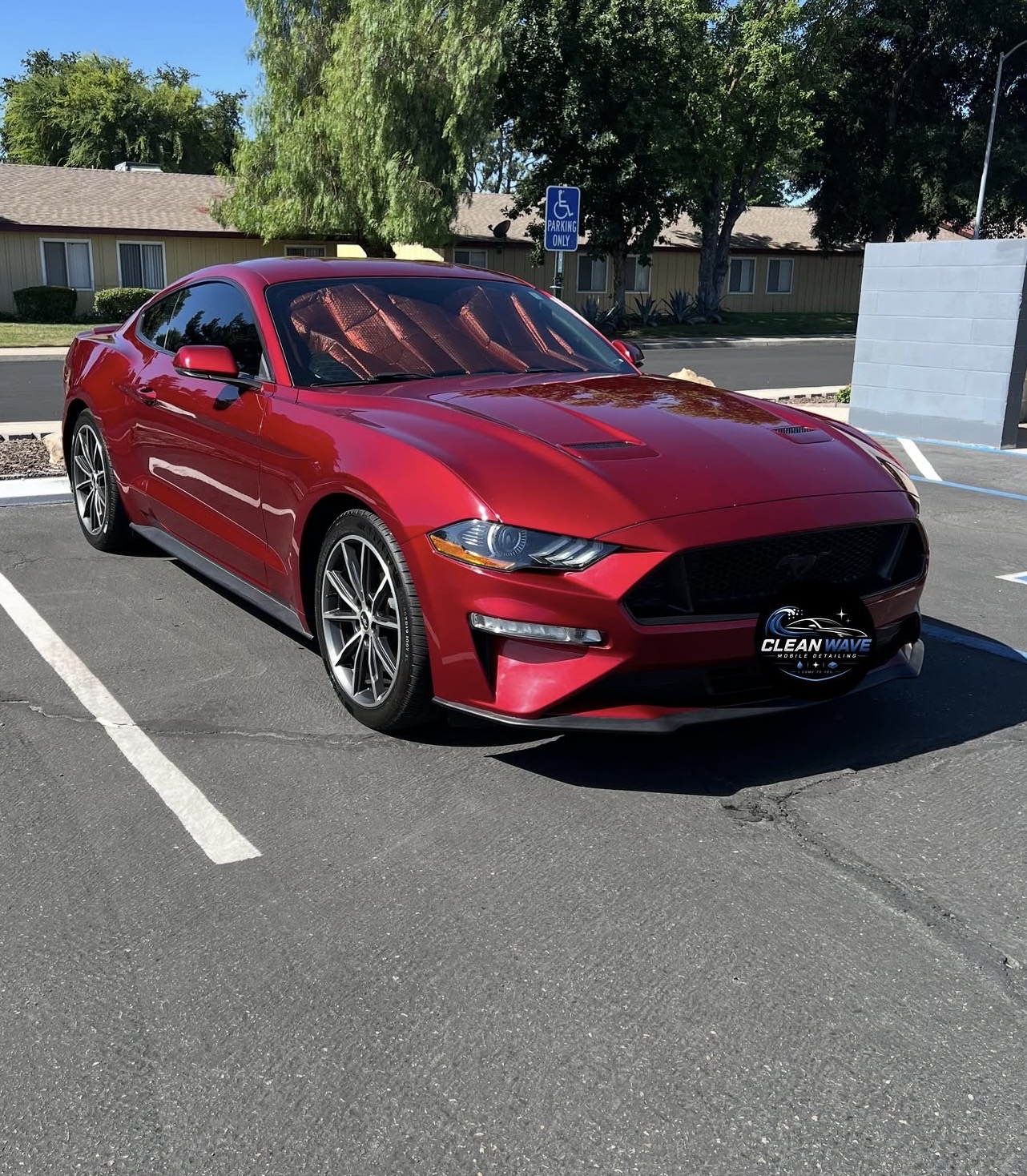 Red Ford Mustang — gleaming side profile