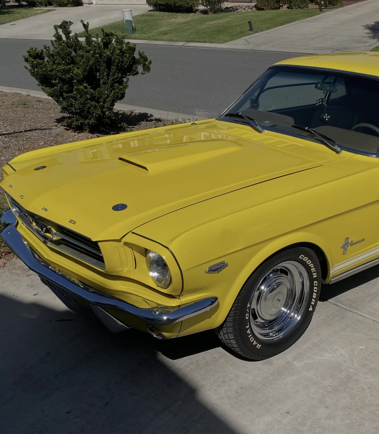 Classic yellow Mustang — polished hood